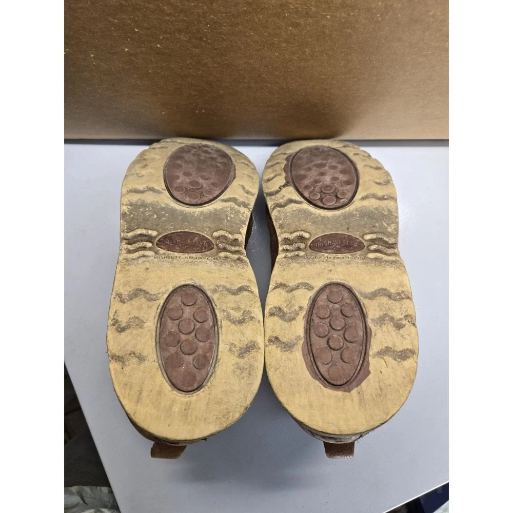 Irish Setter red wing